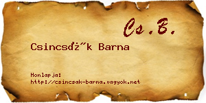 Csincsák Barna névjegykártya